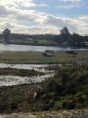 /album/fotogaleria-inicio1/patos-2-jpg/